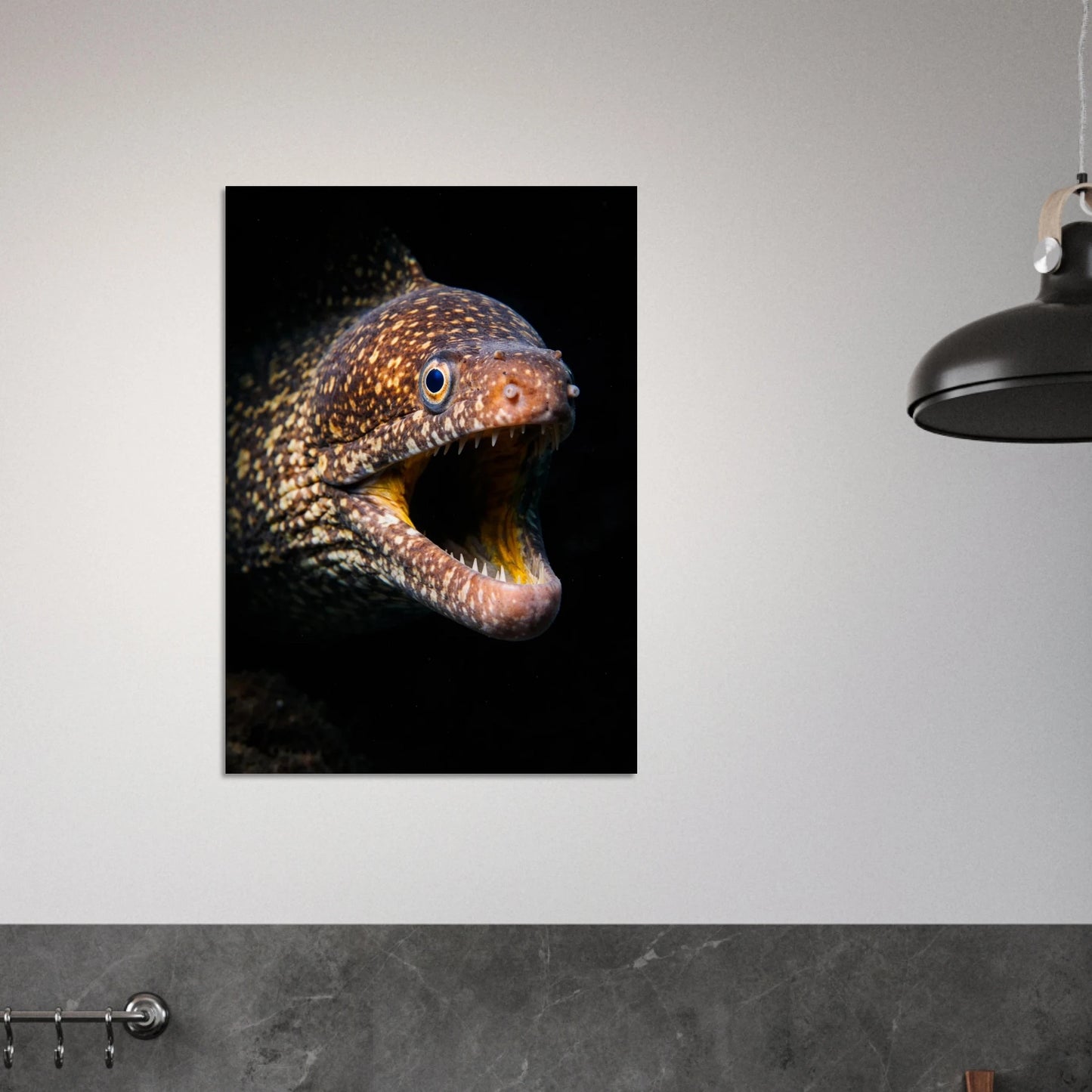 Muräna poster hängandes på en vit vägg ovanför en grå köksbänk – Fotorealistisk poster
