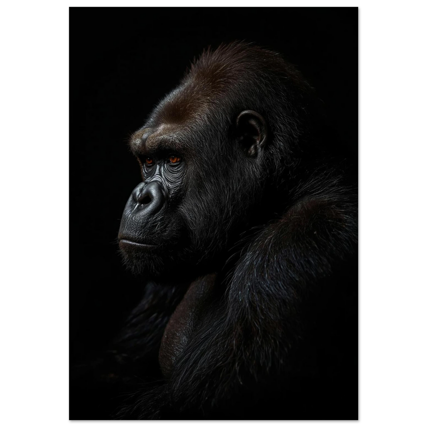 Närbild på gorilla i profil mot svart bakgrund, fotorealistisk djurposter