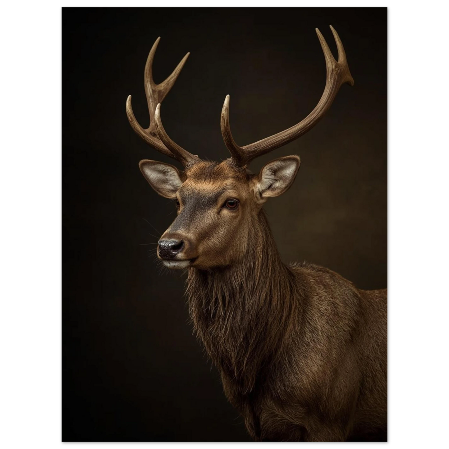 Ståtligt hjortdjur med fokus på horn och blick – naturposter