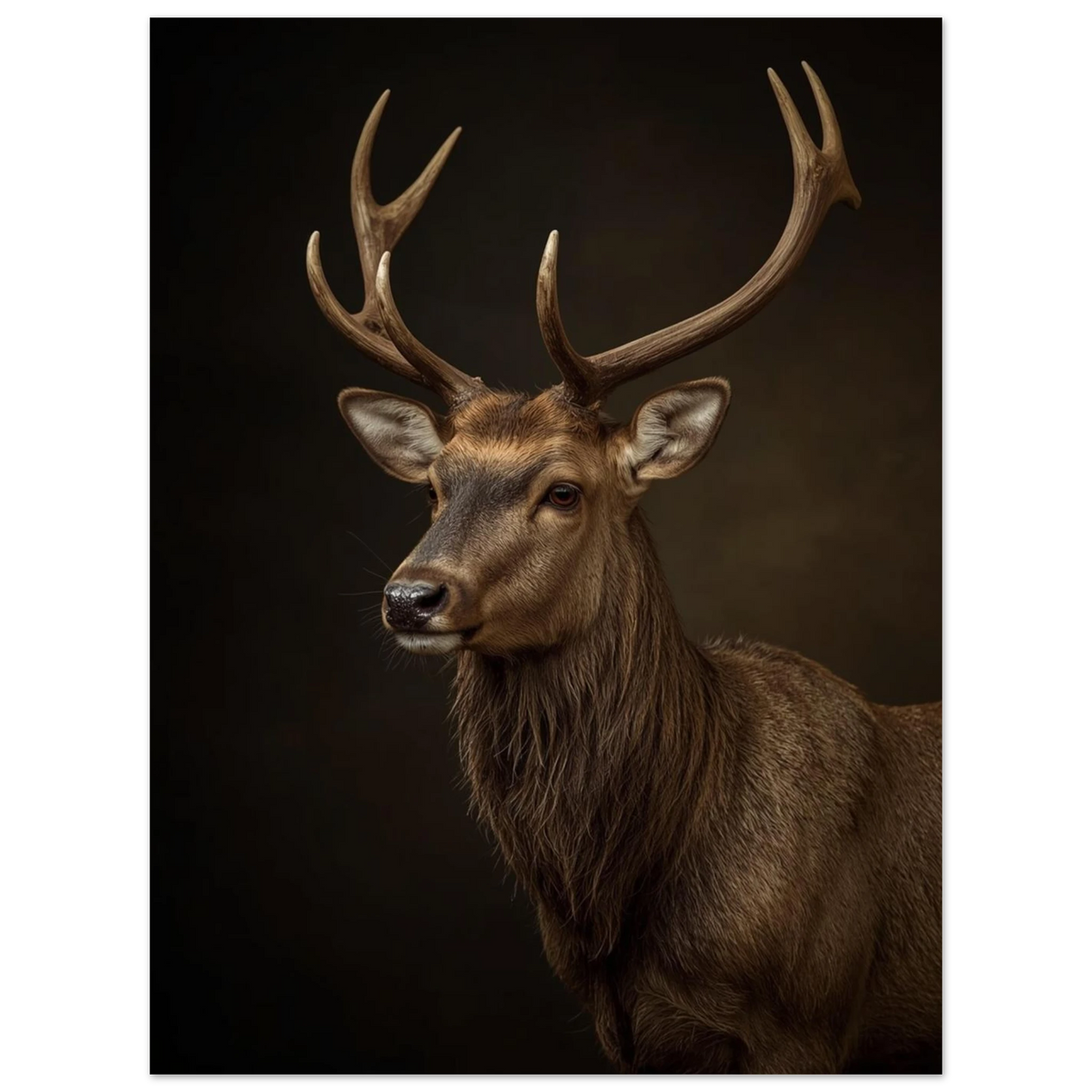 Ståtligt hjortdjur med fokus på horn och blick – naturposter