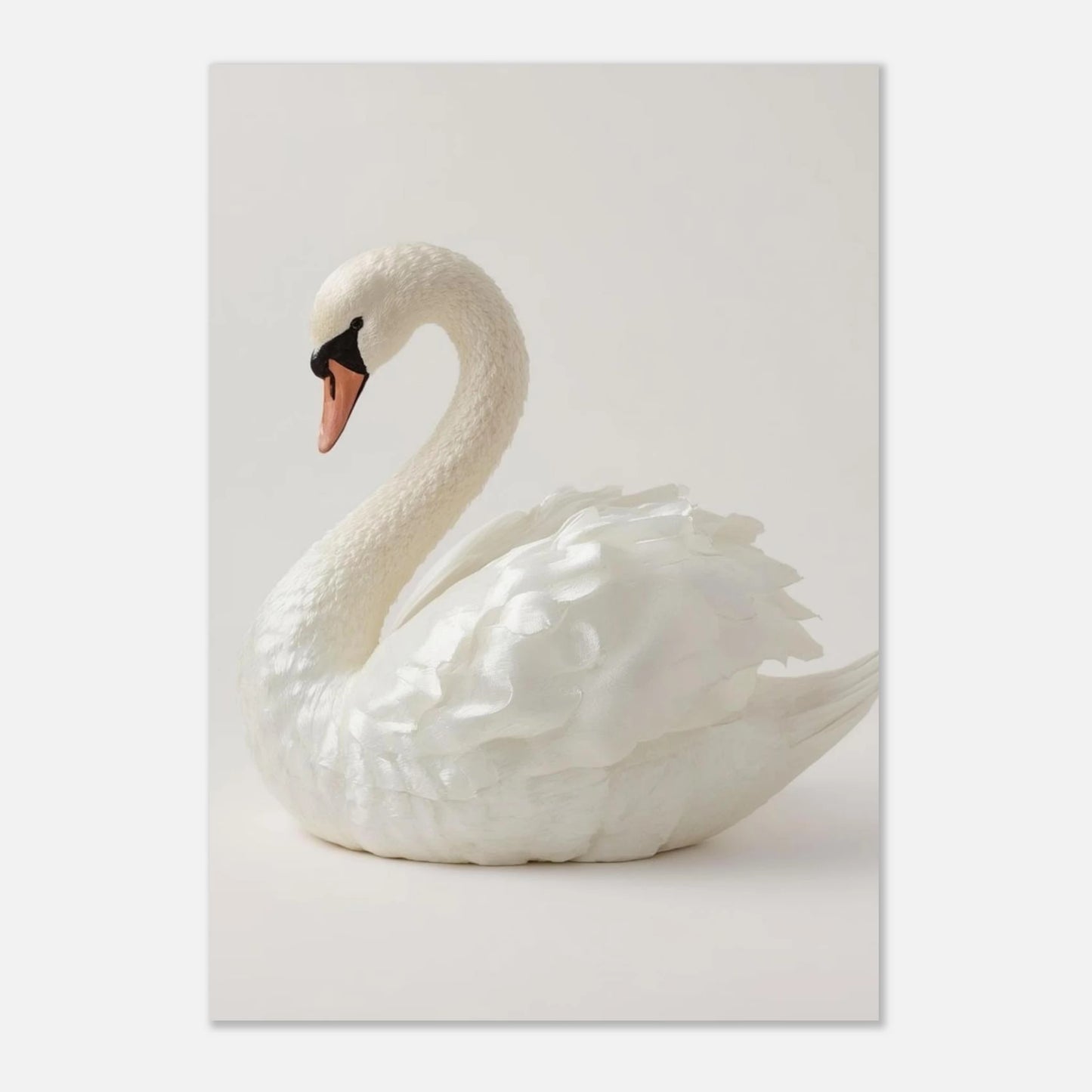 Svanens tysta elegans fångad i ett stilrent och ljust fotoprint