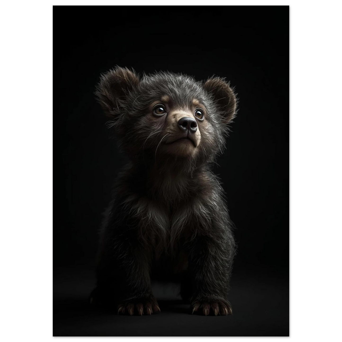 Närbild av björnunges ansikte och överkropp, med fokus på den nyfikna blicken – Fotorealistisk poster