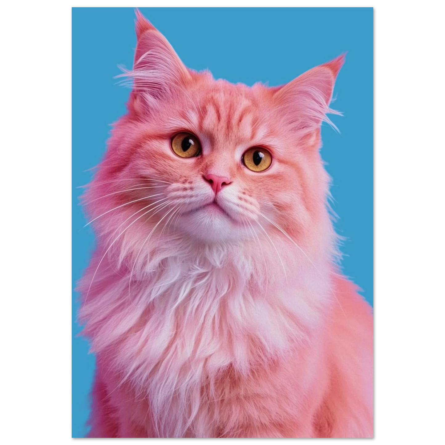 Färgstarkt porträtt av en rosa katt med fluffig päls – poster