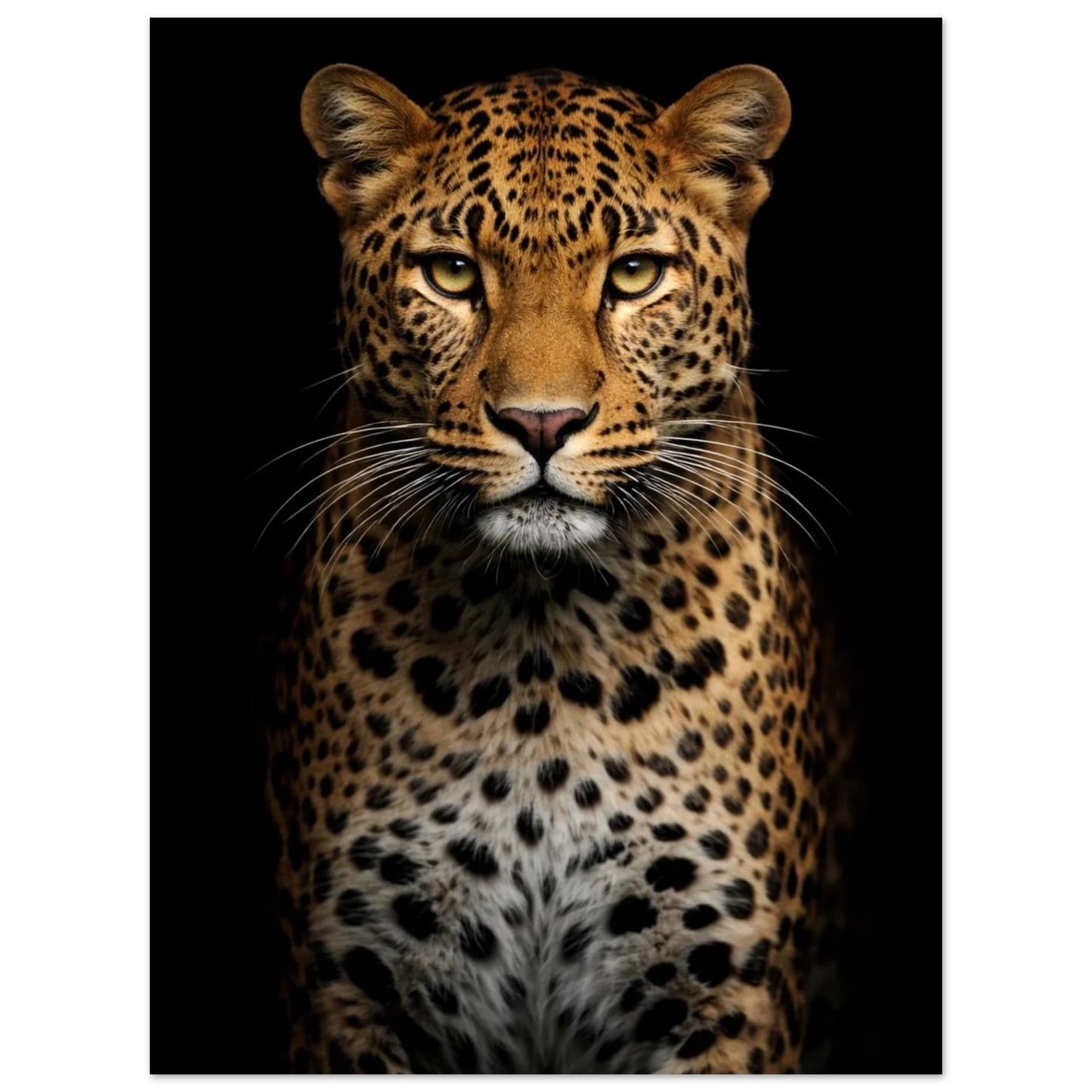 Närbild på leoparden där pälsens textur och morrhår framträder – Fotorealistisk poster