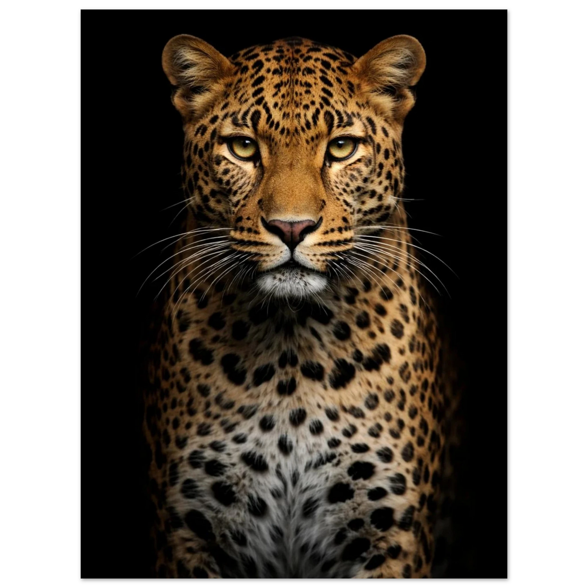 Närbild på leoparden där pälsens textur och morrhår framträder – Fotorealistisk poster