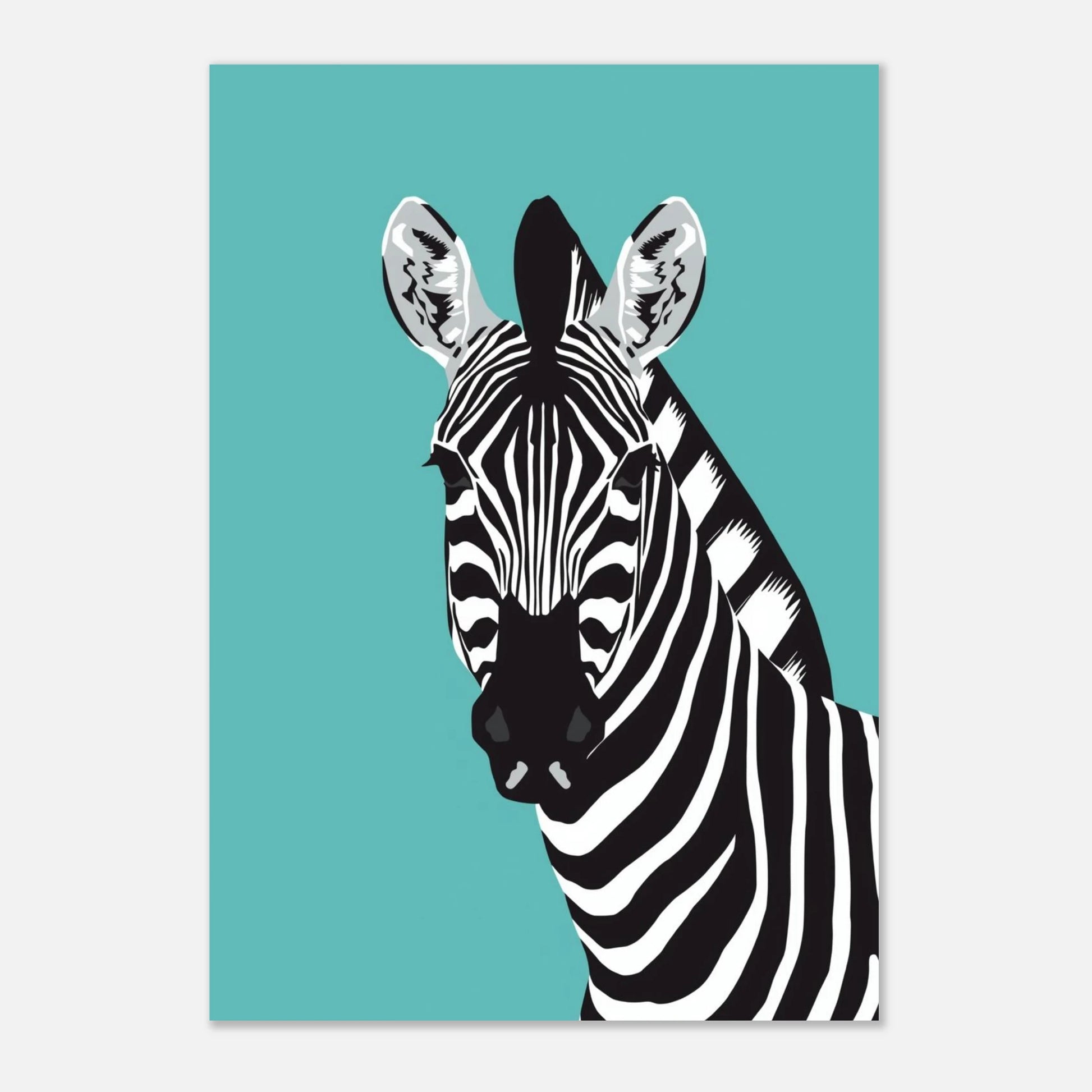 Svartvit zebra i kontrast mot en klar turkosblå bakgrundsfärg