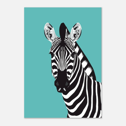 Svartvit zebra i kontrast mot en klar turkosblå bakgrundsfärg