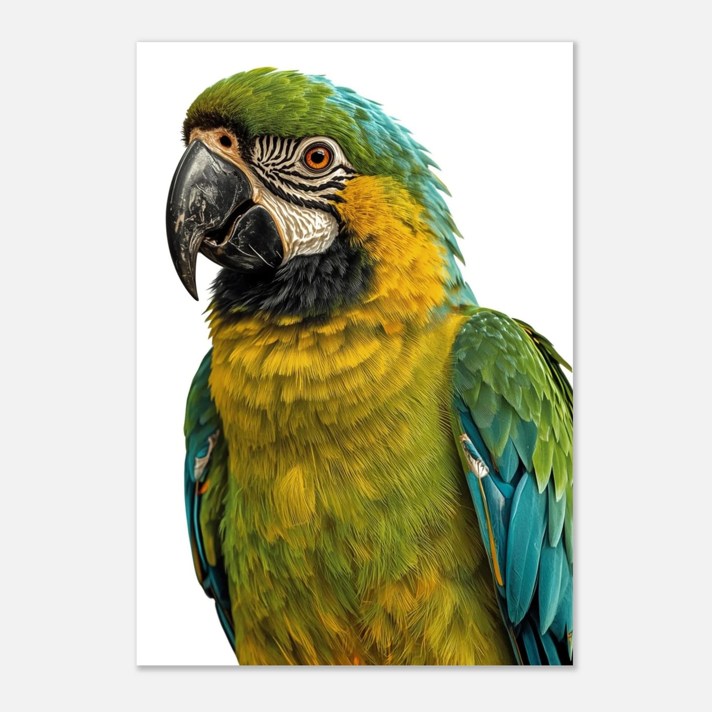 Exotisk fågelposter med en färgsprakande ara, konstnärligt print med hög kontrast
