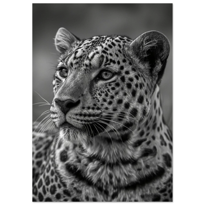 Detaljrik fotokonst av leopardens fläckiga päls och morrhår i monokromt