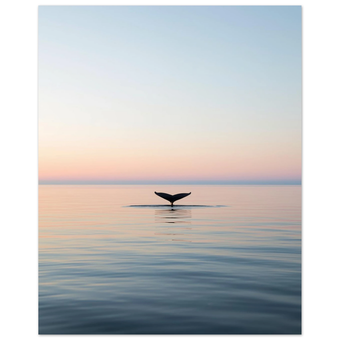 Valstjärt i havet vid solnedgång, med mjuka färgövergångar på himlen – Fotorealistisk poster
