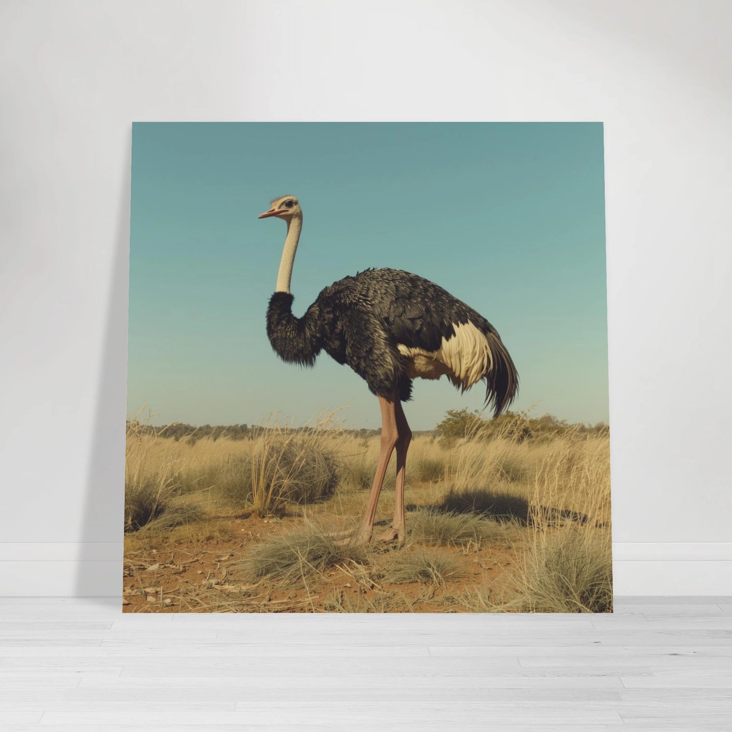 Elegant fågelmotiv av en struts i vintage inspirerad stil – retro poster