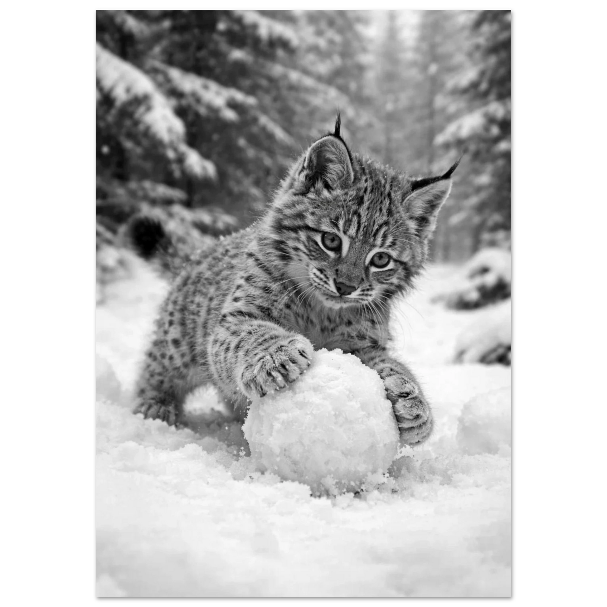 Närbild på en lekfull lodjursunge i snön, med barrskog i bakgrunden – Fotorealistisk poster