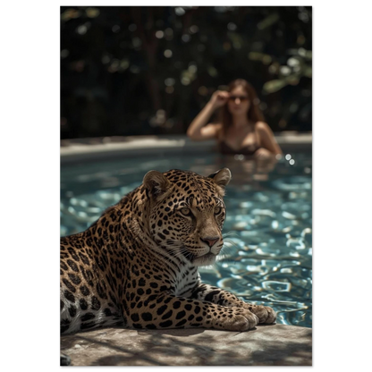 Leopard vilar vid poolkant med kvinna i bakgrunden – exklusiv fotoposter