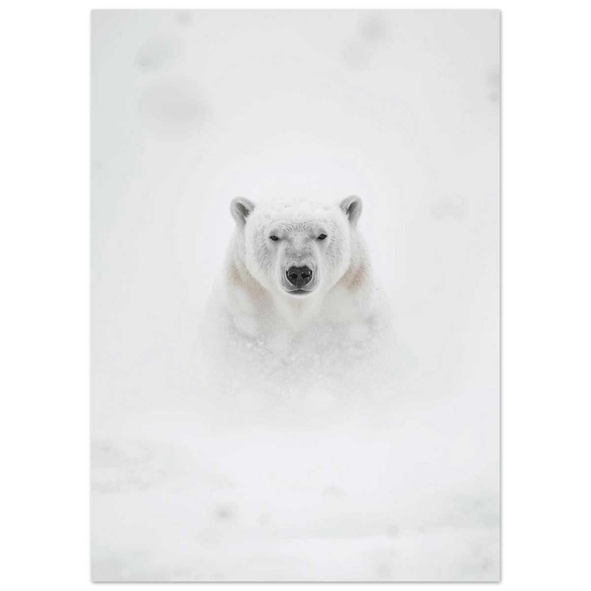 Närbild på isbjörnshuvud som framträder ur en vit blizzard – naturmotiv