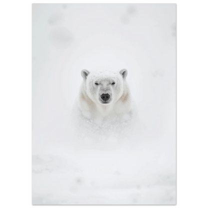 Närbild på isbjörnshuvud som framträder ur en vit blizzard – naturmotiv