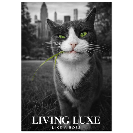 Svartvit katt med gröna ögon och grässtrå i munnen framför stadssiluett – Fotorealistisk poster