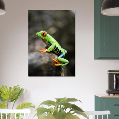 Regnskogens väktare motiv med en sittande lövgroda – fotorealistisk poster