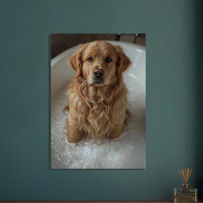 Golden retriever i badkar med bubblor, uttrycksfull blick