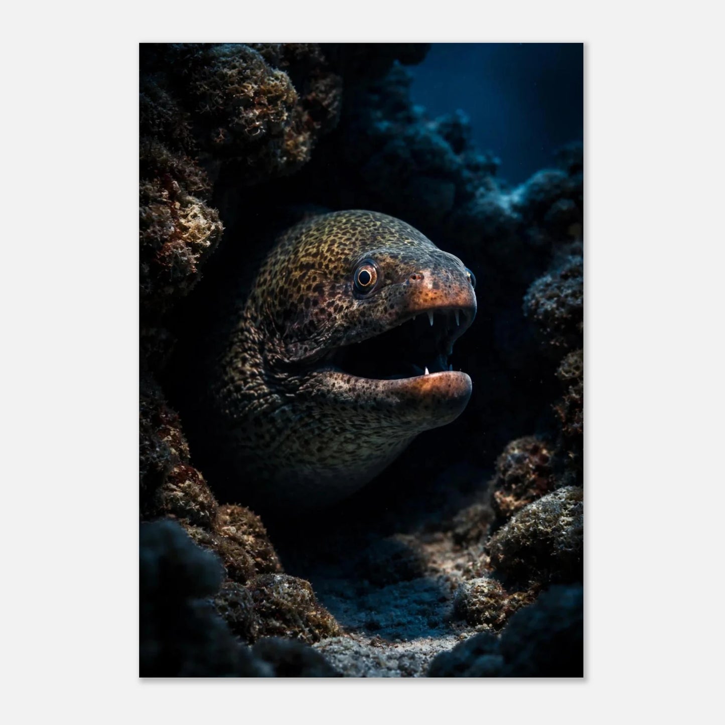 Stilren poster av en muräna i naturligt habitat på havsbotten