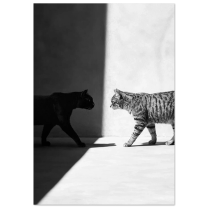 Två katter möts i en skarp ljusstrimma – Fotorealistisk poster
