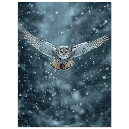 Dramatisk naturposter föreställande en uggla mitt i en snöstorm