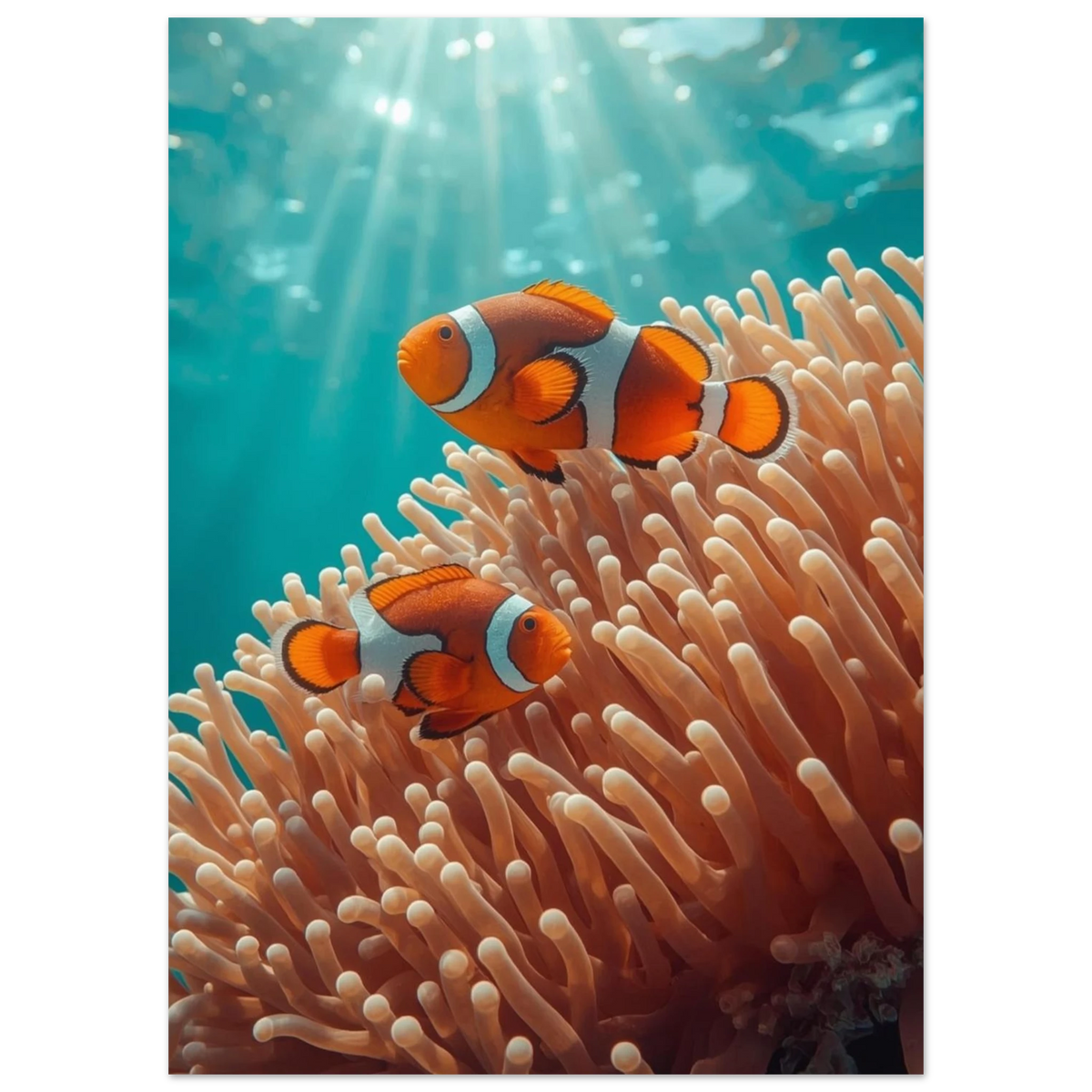 Nemo-fiskar i en mjukt rosa anemon med strålande solljus undervattnet