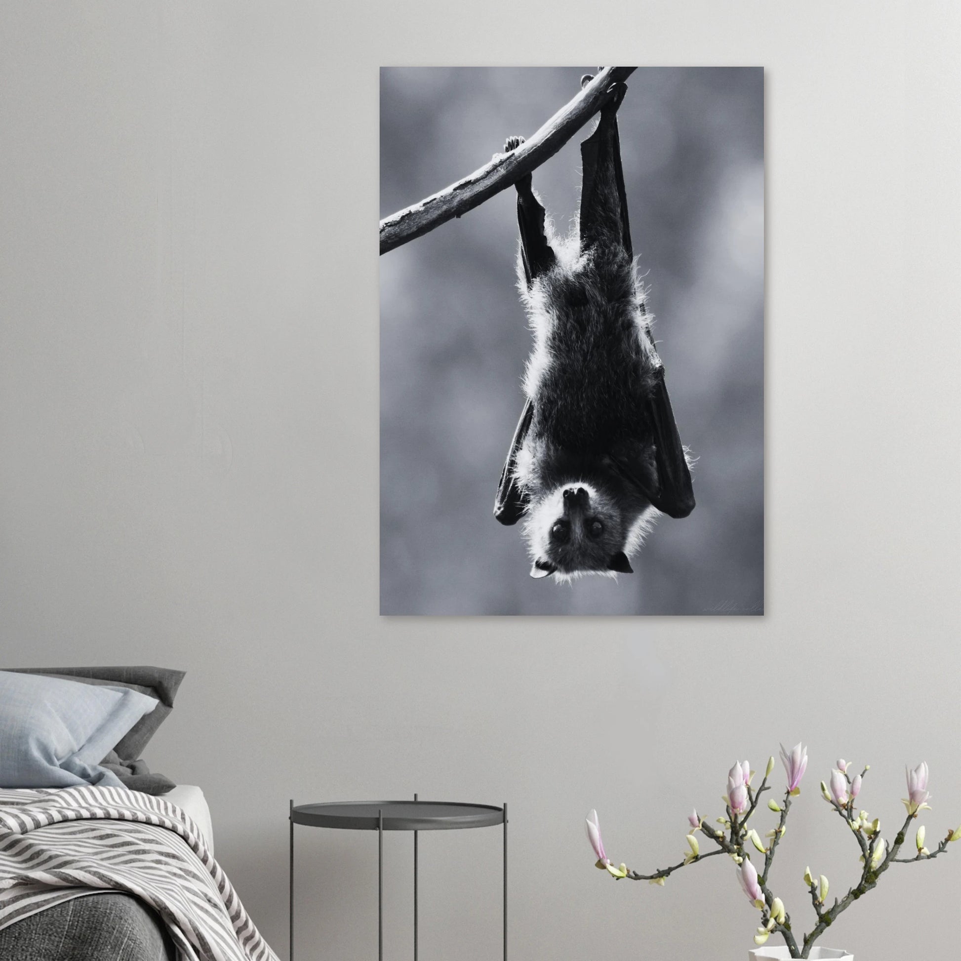 Hängande fladdermus silhuett mot ljust suddig bakgrund – Fotorealistisk poster