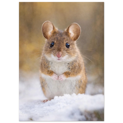 Detaljerat porträtt av en gnagare i naturen under vintern – fotorealistisk poster