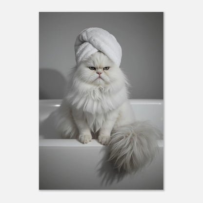 Elegant men tjurig vit katt i badrummet – rolig djurposter