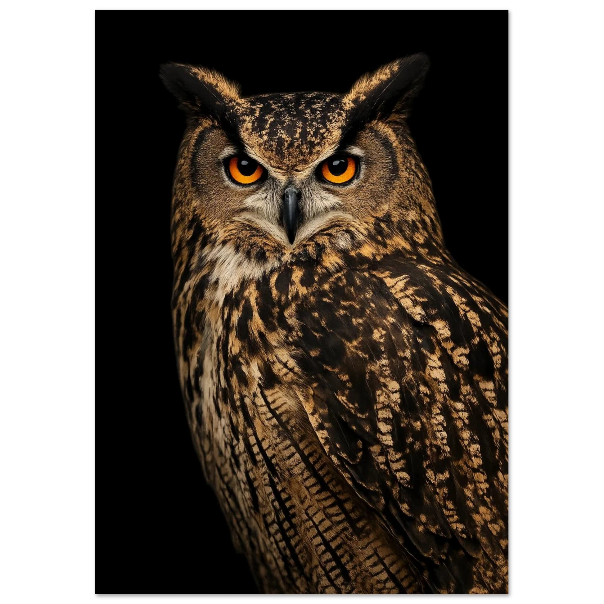 Berguv med detaljerade fjädrar och karaktäristiska öron mot mörker – Fotorealistisk poster