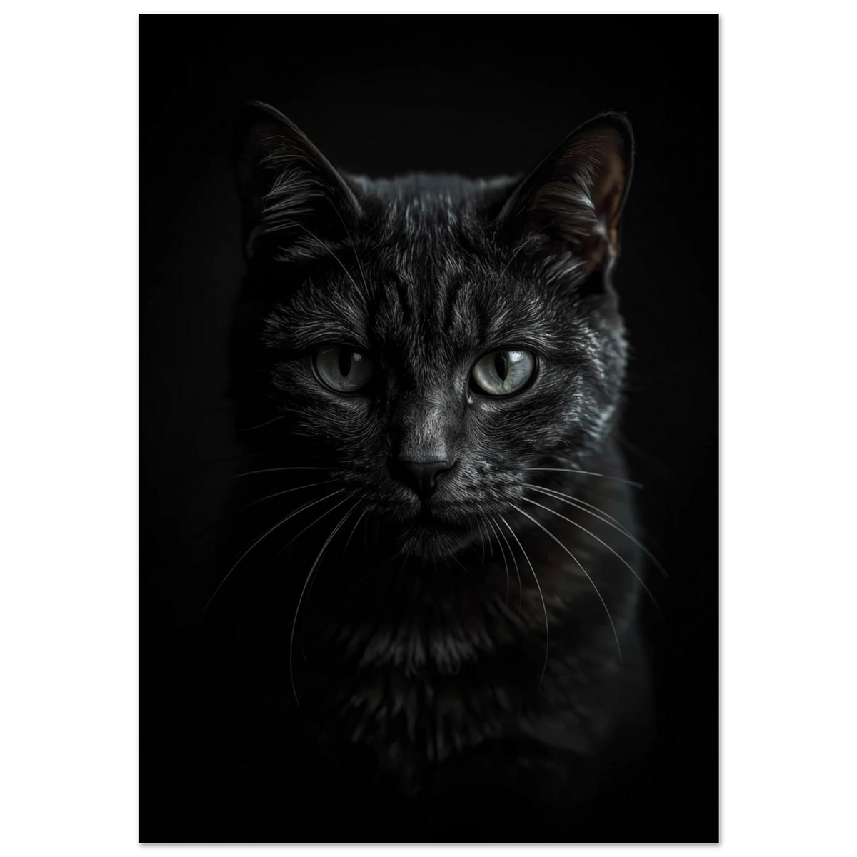 Svart katt i närbild med intensiv blick, mörk fotorealistisk djurposter