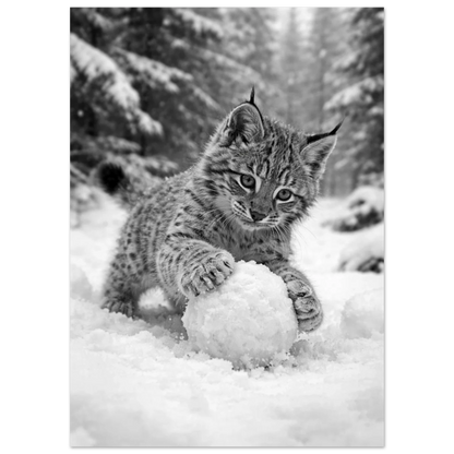 Lodjursunge, halvbild framifrån, fokuserad på snöbollen den håller – Fotorealistisk poster