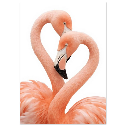 Elegant fotografi av korallrosa flamingor som rör vid varandra, väggkonst