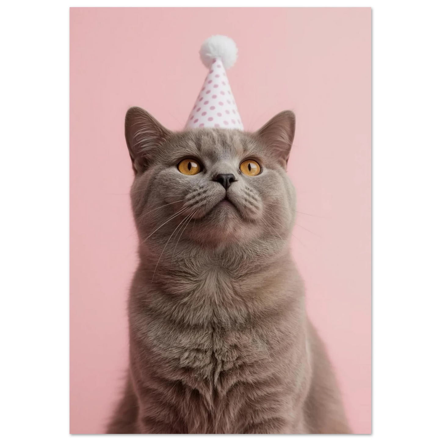 Söt kattposter föreställande en grå kattunge i festlig utstyrsel