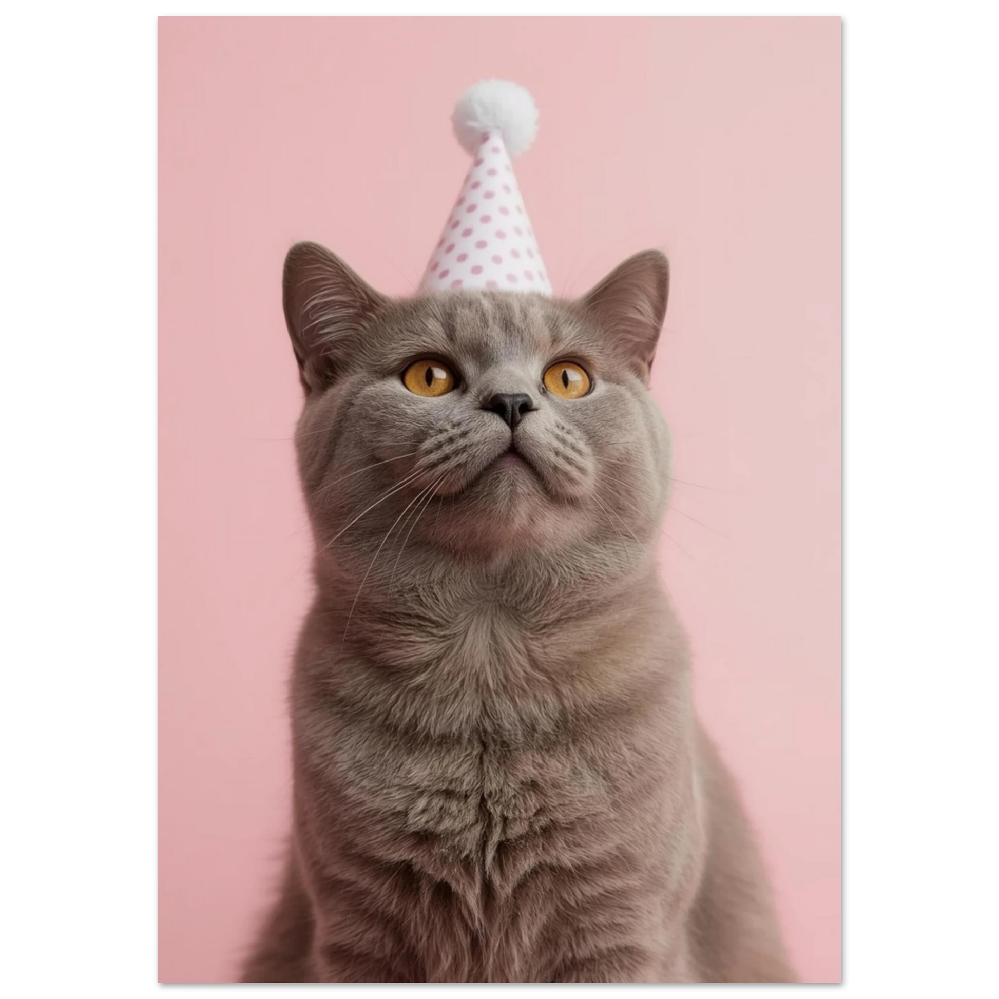Söt kattposter föreställande en grå kattunge i festlig utstyrsel