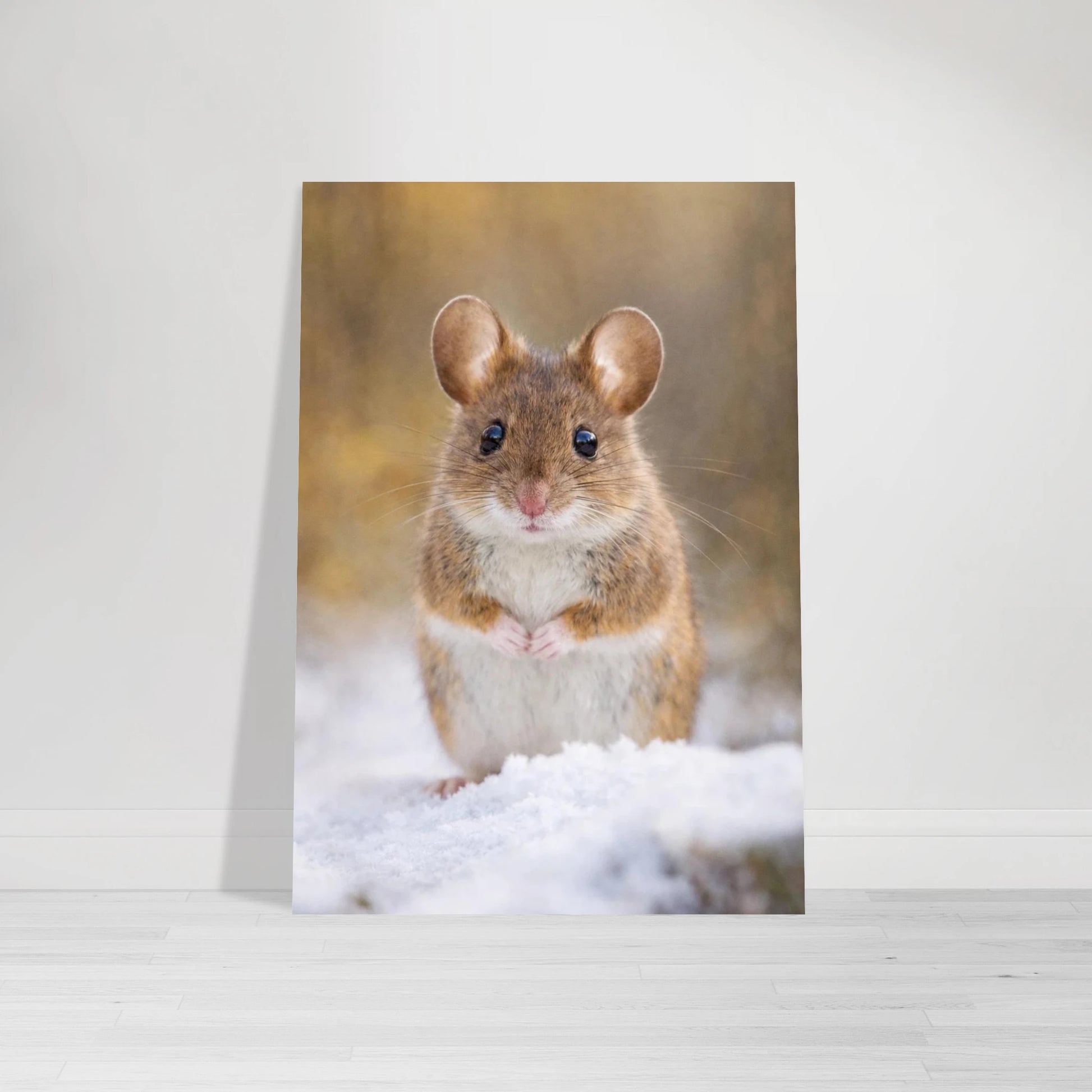 Skogsmus i profil sittandes i snön med naturligt ljus – fotorealistisk poster