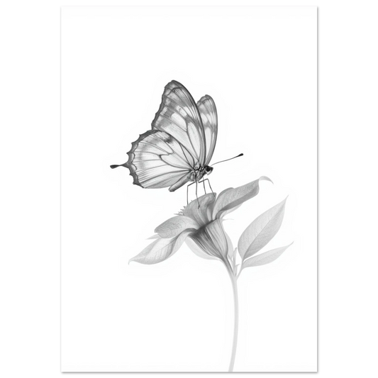 Fjäril på blomma i gråskala – minimalistisk poster med vita kanter