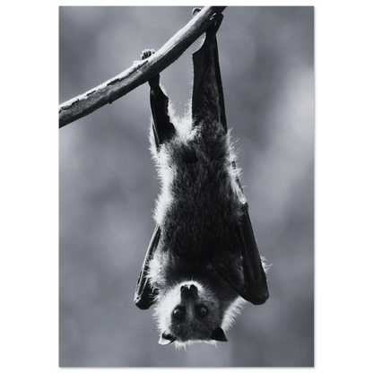 Konstnärlig fladdermus i vila i ett modernt kontor – Fotorealistisk poster