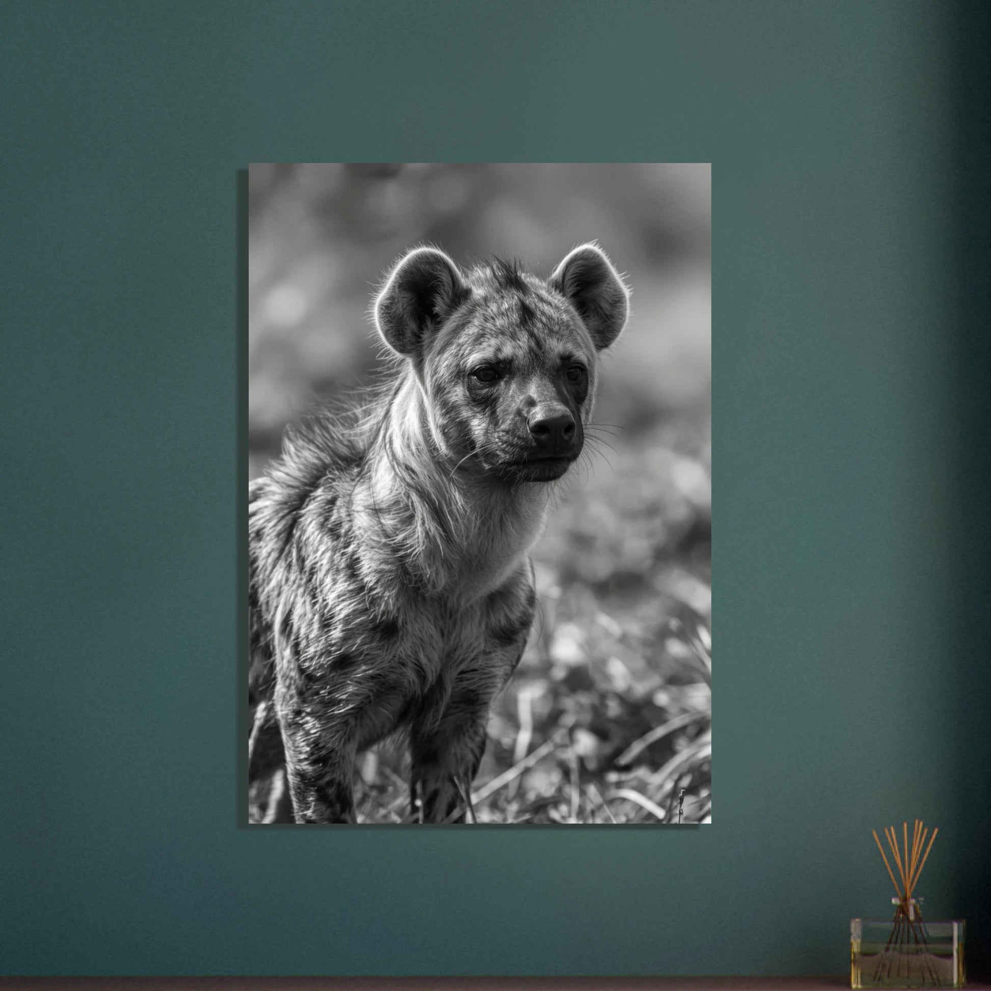 Hyena i svartvitt, intensiv blick, vildmarkens mystik, djurmotiv