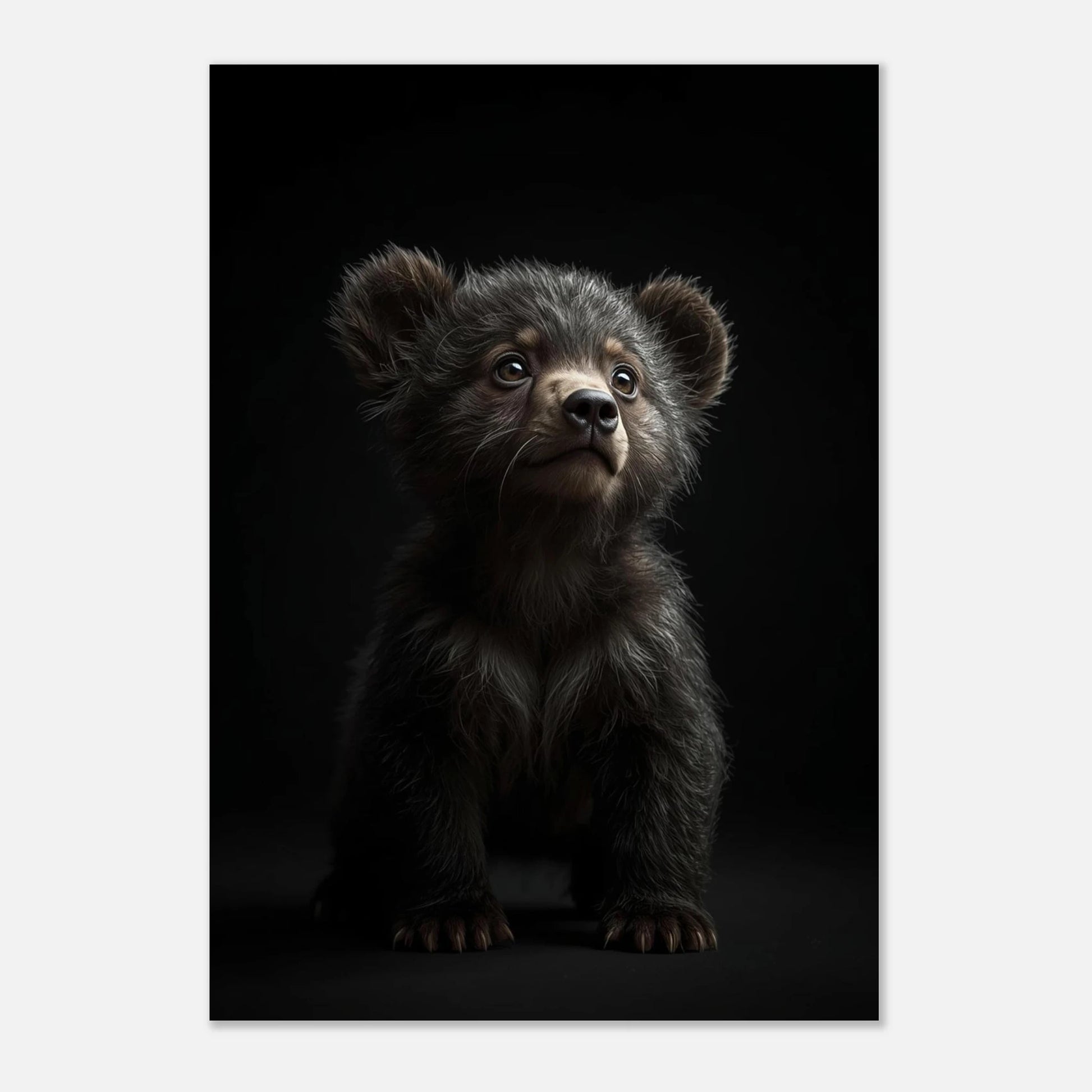 Rektangulär poster med björnunge och mörk bakgrund, sedd ur ett bredare perspektiv – Fotorealistisk poster