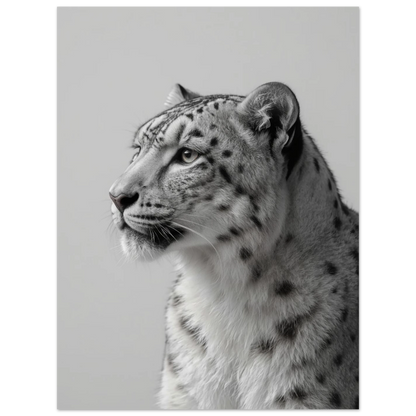 Detaljerat porträtt av en snöleopard i monokrom stil – elegant väggkonst