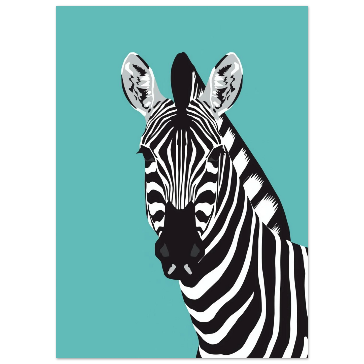 Närbild på zebra med svarta och vita ränder, turkos tavla