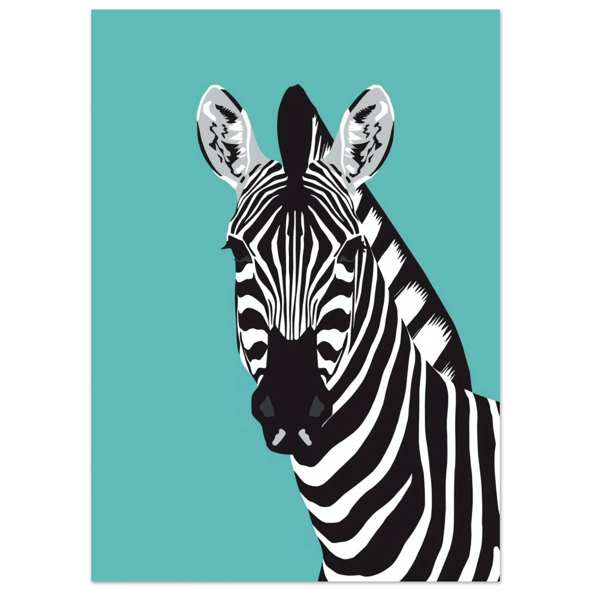 Närbild på zebra med svarta och vita ränder, turkos tavla
