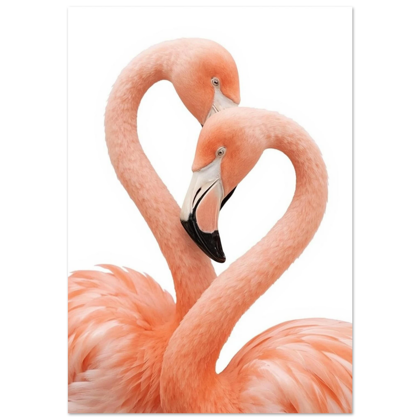 Två rosa flamingor formar ett hjärta med sina halsar, fotokonst