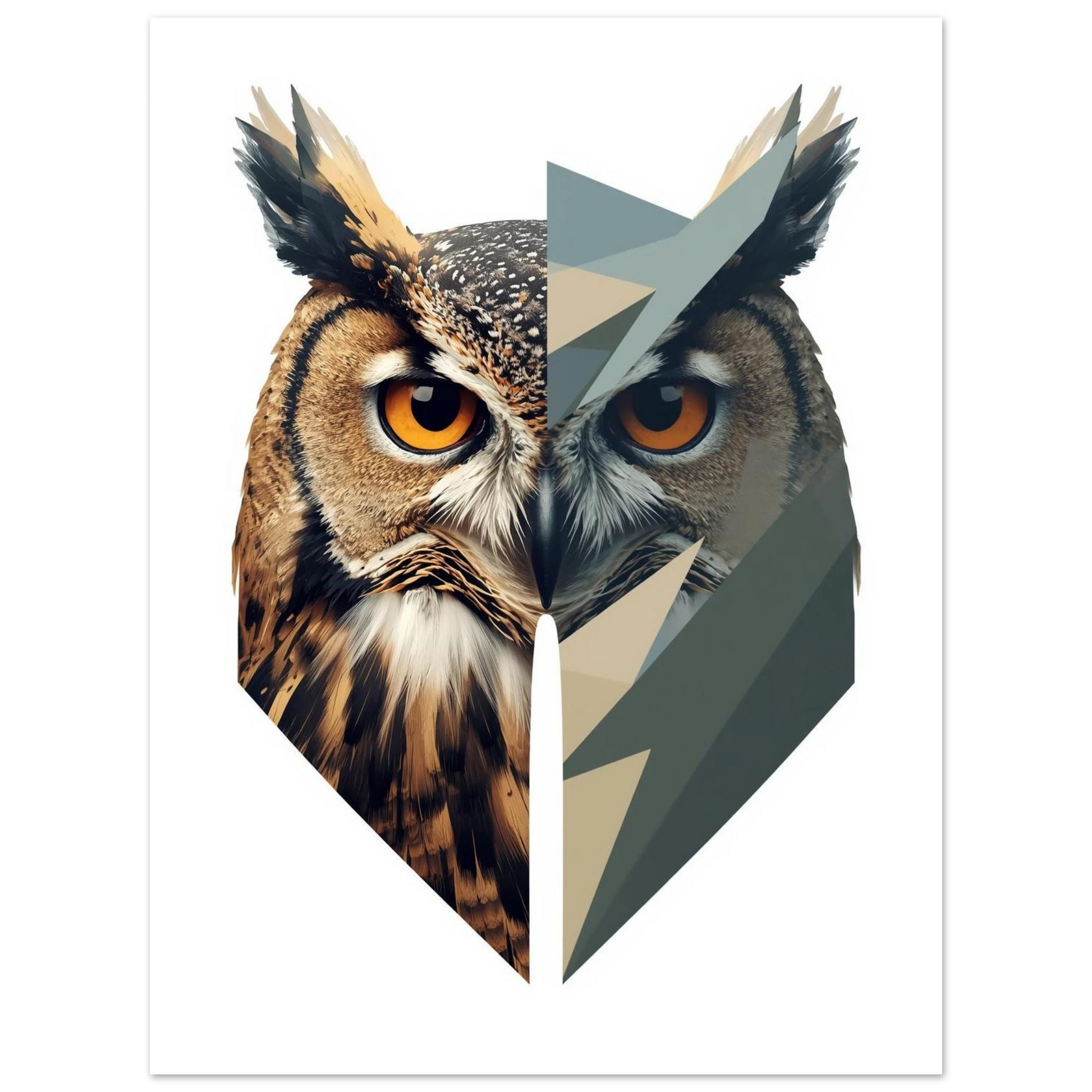 Konstnärligt uggleansikte mot vit bakgrund i två stilar – Tecknad poster