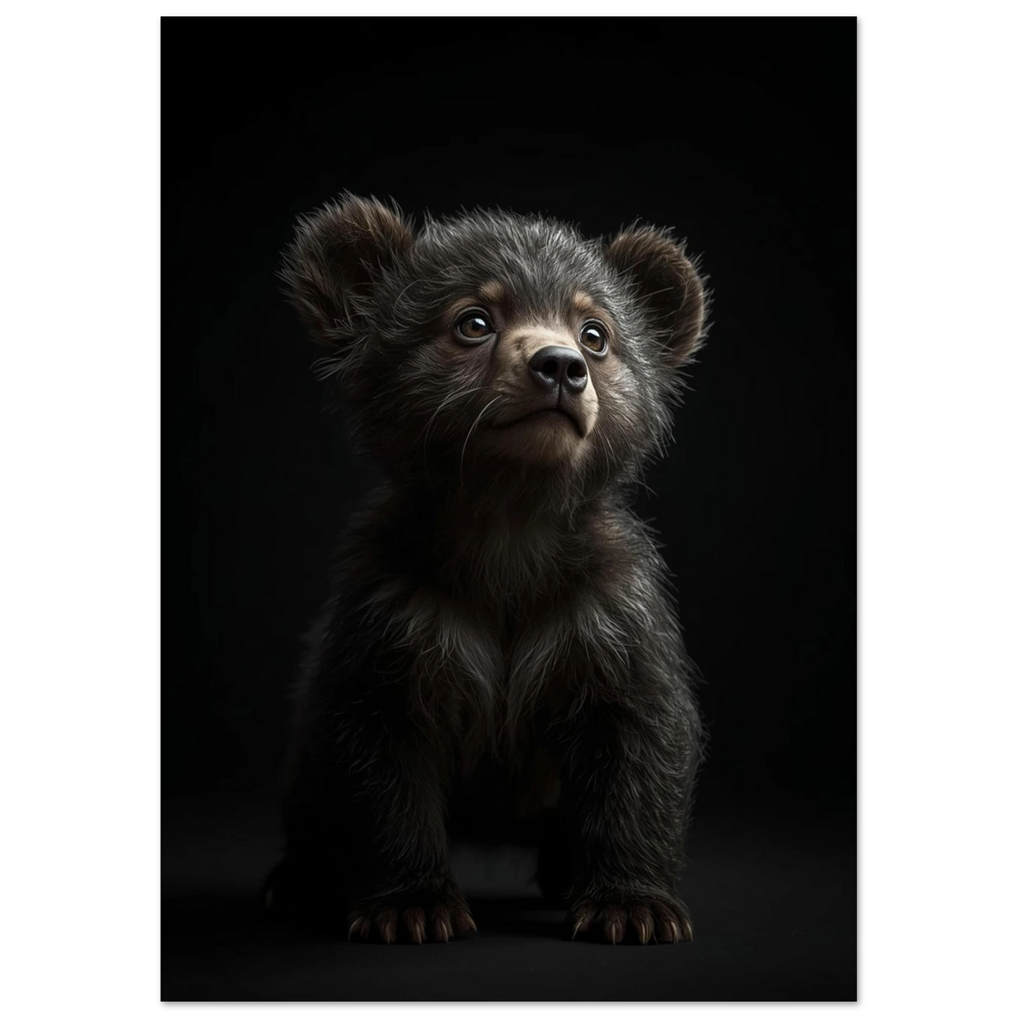 Helbild av björnungens sittande position, belysning framhäver pälsens textur – Fotorealistisk poster