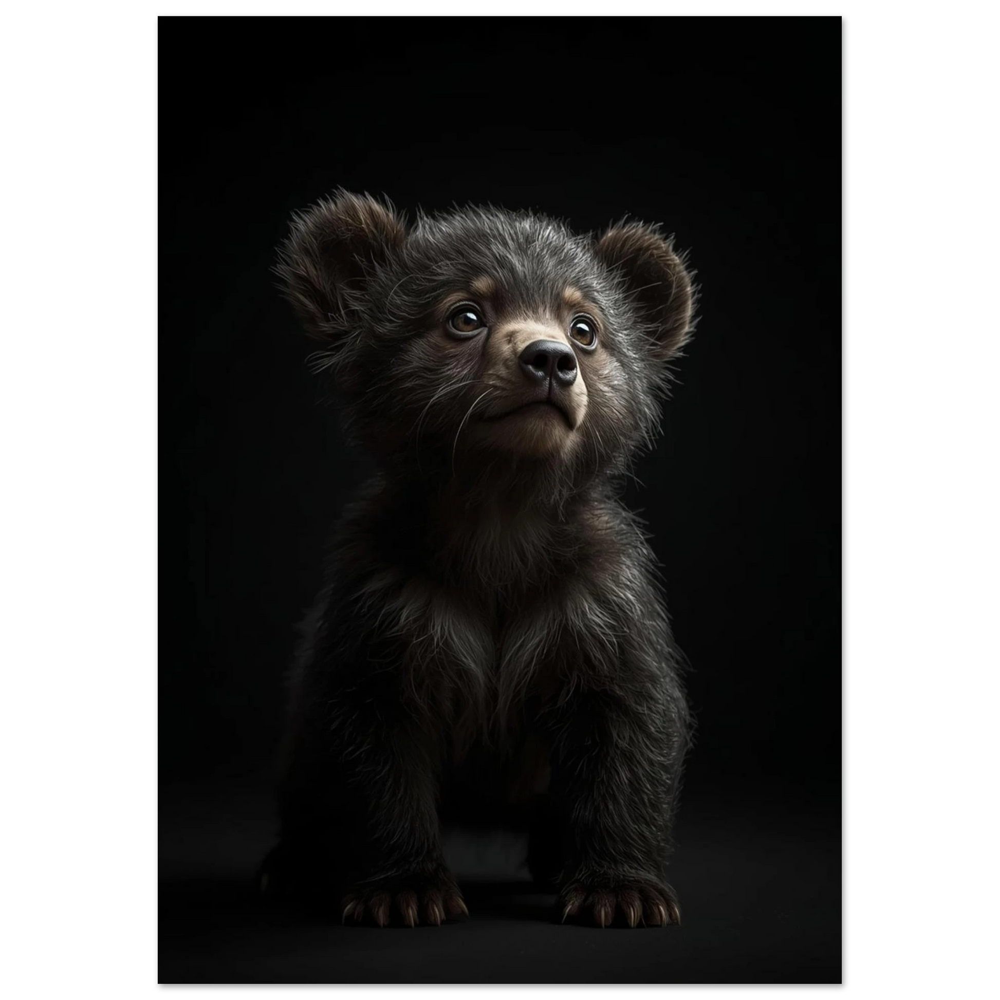Helbild av björnungens sittande position, belysning framhäver pälsens textur – Fotorealistisk poster