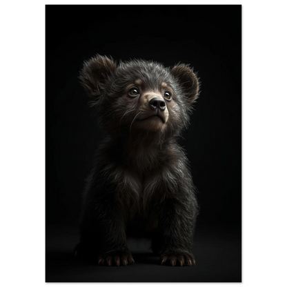 Helbild av björnungens sittande position, belysning framhäver pälsens textur – Fotorealistisk poster