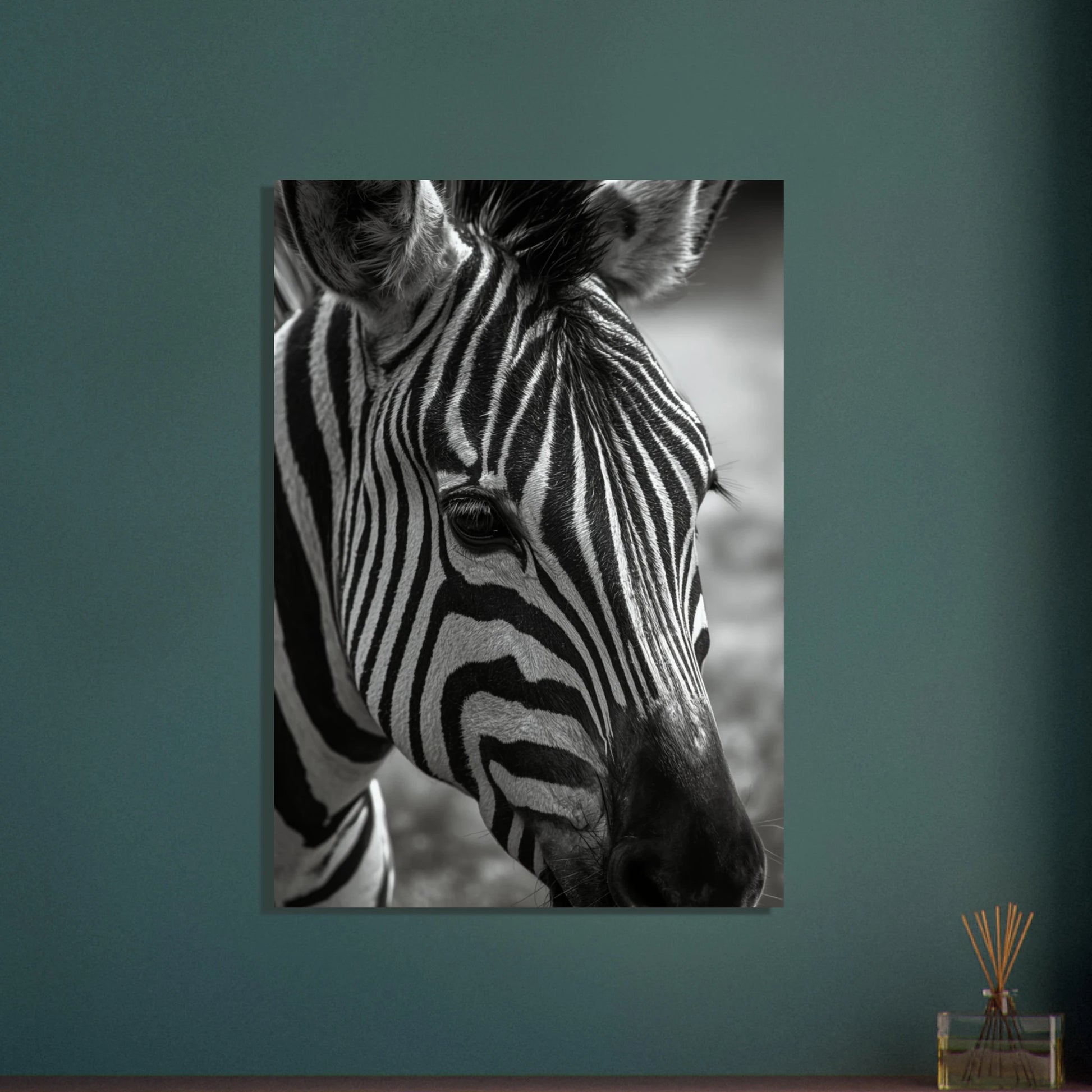 Zebra ansikte i svartvitt, närbild med fokus på ögat