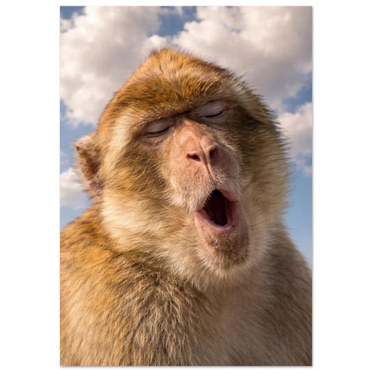 Närbild på en gäspande apa med slutna ögon mot en molnig himmel – Fotorealistisk poster